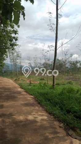 Lahan untuk Dijual Lokasi Cianjur, Cianjur Luas 58253m2 SHM Lahan untuk Dijual Lokasi Cianjur, Cianjur Luas 58253m2 SHM