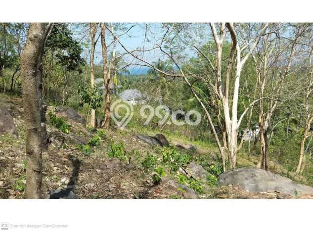Tanah Dijual di Lombok Barat Seluas 5200m2 Strategis Tanah Dijual di Lombok Barat Seluas 5200m2 Strategis