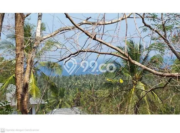 Tanah Dijual di Lombok Barat Seluas 5200m2 Strategis Tanah Dijual di Lombok Barat Seluas 5200m2 Strategis