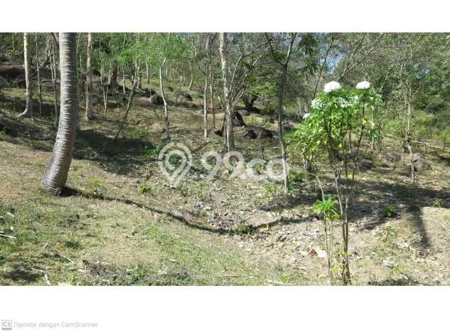 Tanah Dijual di Lombok Barat Seluas 5200m2 Strategis Tanah Dijual di Lombok Barat Seluas 5200m2 Strategis