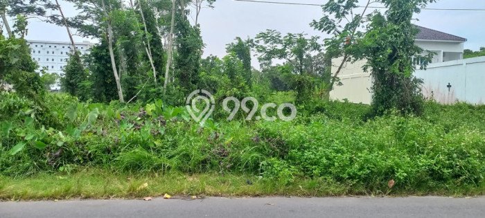 Tanah Strategis Dijual di Sleman Sleman 1500m2 Tanah Strategis Dijual di Sleman Sleman 1500m2