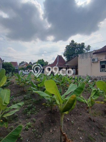Dijual Hunian Mewah dengan Fasilitas Sekitar Lengkap di Kraton, Yogyakarta Dijual Hunian Mewah dengan Fasilitas Sekitar Lengkap di Kraton, Yogyakarta