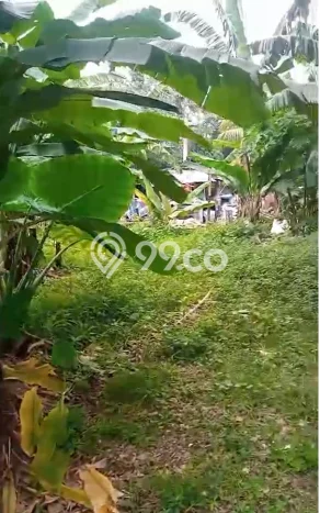 Tanah Dijual di Bogor Seluas 1301m2 Strategis Tanah Dijual di Bogor Seluas 1301m2 Strategis
