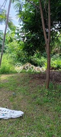 Kavling Tanah Dijual di Karawaci, Tangerang, Luas 2700m2 Area Strategis Kavling Tanah Dijual di Karawaci, Tangerang, Luas 2700m2 Area Strategis