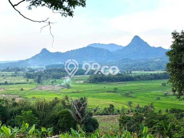 Kavling Tanah Dijual di Menteng, Jakarta Pusat, Luas 192m2 Area Strategis Kavling Tanah Dijual di Menteng, Jakarta Pusat, Luas 192m2 Area Strategis
