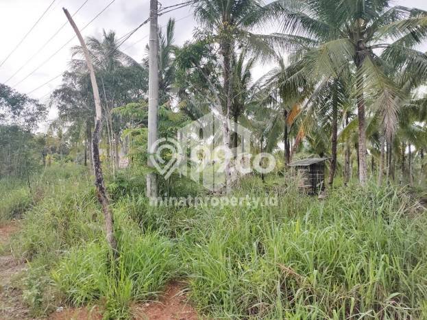 Tanah Dijual di Tanjung Pinang Seluas 10950m2 Strategis Tanah Dijual di Tanjung Pinang Seluas 10950m2 Strategis