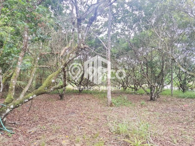 Dijual Tanah di Bintan Timur Bintan Luas 12688m2 SHM Dijual Tanah di Bintan Timur Bintan Luas 12688m2 SHM