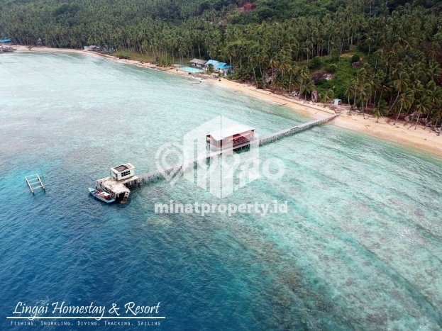 Vila Strategis Kawasan Siantan, Area 101632m2m², Area Nyaman untuk Anda Vila Strategis Kawasan Siantan, Area 101632m2m², Area Nyaman untuk Anda