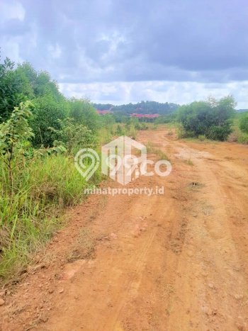 Tanah Dijual Area Strategis di Tanjung Pinang Timur Tanjung Pinang 30000m2 Tanah Dijual Area Strategis di Tanjung Pinang Timur Tanjung Pinang 30000m2