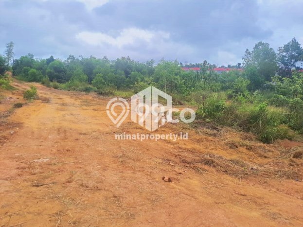 Tanah Dijual Area Strategis di Tanjung Pinang Timur Tanjung Pinang 30000m2 Tanah Dijual Area Strategis di Tanjung Pinang Timur Tanjung Pinang 30000m2
