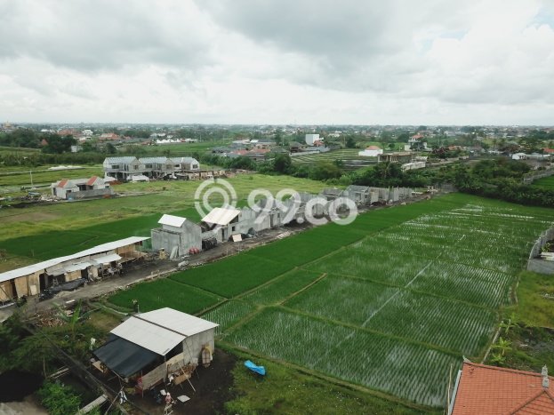 Properti Potensial! Vila Kawasan Canggu, Luas 120m², ROI Tinggi untuk bisnis Properti Potensial! Vila Kawasan Canggu, Luas 120m², ROI Tinggi untuk bisnis