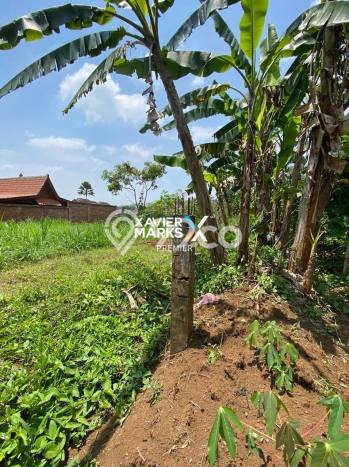 LOKASI STRATEGIS! Tanah di Dau, Luas 190m2m², Lokasi Berkembang, Cocok untuk Hunian LOKASI STRATEGIS! Tanah di Dau, Luas 190m2m², Lokasi Berkembang, Cocok untuk Hunian