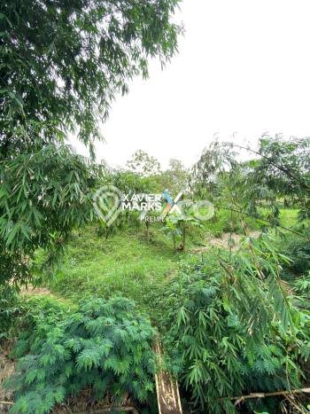 Jarang Ada! Tanah di Singosari Punya Luas 3698m2 SHM Jarang Ada! Tanah di Singosari Punya Luas 3698m2 SHM
