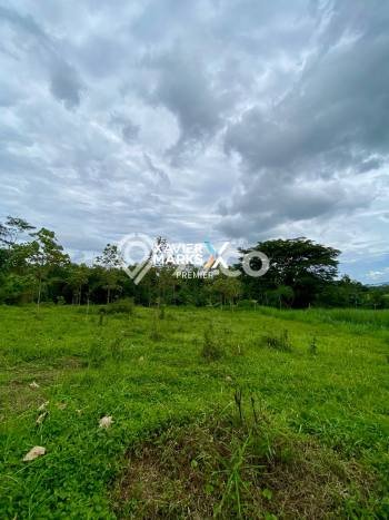 Jarang Ada! Tanah di Singosari Punya Luas 3698m2 SHM Jarang Ada! Tanah di Singosari Punya Luas 3698m2 SHM