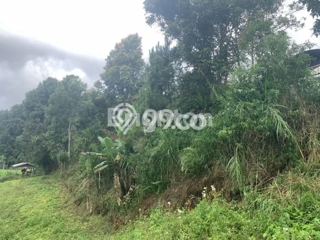 Tanah Area Berkembang Kawasan Baturiti, Luas 780m², Kawasan Asri, Akses Baturiti, Tabanan, Tabanan Tanah Area Berkembang Kawasan Baturiti, Luas 780m², Kawasan Asri, Akses Baturiti, Tabanan, Tabanan