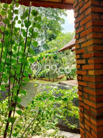 Rumah Luxury Modern Siap Huni di Ciganjur Jakarta Selatan Rumah Luxury Modern Siap Huni di Ciganjur Jakarta Selatan
