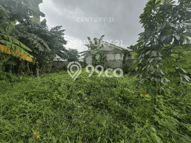 Lahan Kosong Dijual di Jakarta Pusat dengan Area 300m2 Lahan Kosong Dijual di Jakarta Pusat dengan Area 300m2