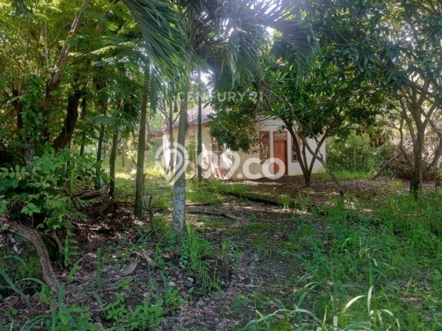 Tanah Area Strategis di Cilegon Indah, Luas 12000m², Cocok untuk Investasi Tanah Area Strategis di Cilegon Indah, Luas 12000m², Cocok untuk Investasi