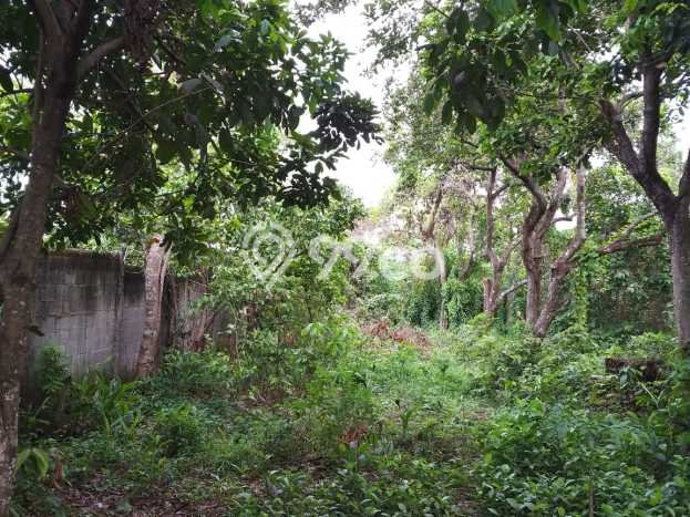 Tanah Dijual Area Strategis di Cikarang Bekasi 2800m2 Tanah Dijual Area Strategis di Cikarang Bekasi 2800m2