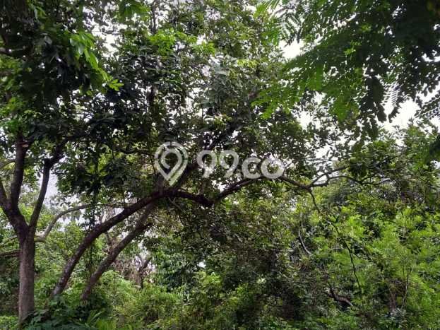 Tanah Dijual Area Strategis di Cikarang Bekasi 2800m2 Tanah Dijual Area Strategis di Cikarang Bekasi 2800m2