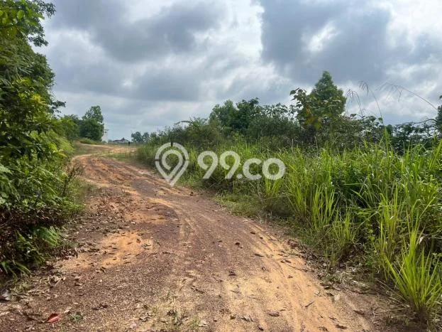 Lahan Dijual Lokasi Jambi Luar Kota, Muaro Jambi dengan Luas Tanah 200m2 dan Status SHM Lahan Dijual Lokasi Jambi Luar Kota, Muaro Jambi dengan Luas Tanah 200m2 dan Status SHM