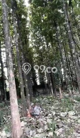 Tanah Dijual Lokasi Bogor Utara, Bogor Luas 3290m2 Legalitas Aman Tanah Dijual Lokasi Bogor Utara, Bogor Luas 3290m2 Legalitas Aman