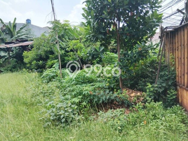 Kavling Tanah Dijual di Pasar Minggu, Jakarta Selatan, Luas 1029m2 Area Strategis Kavling Tanah Dijual di Pasar Minggu, Jakarta Selatan, Luas 1029m2 Area Strategis