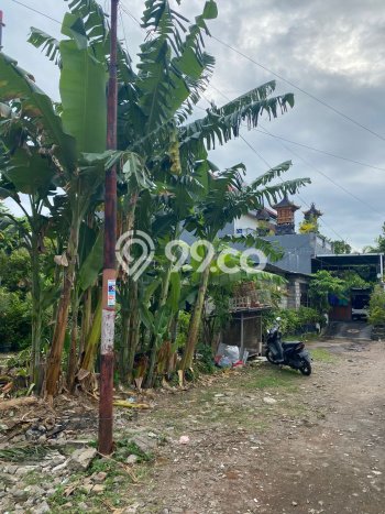 Kavling Tanah Dijual di Denpasar Selatan Denpasar Spesifikasi 410m2 Kavling Tanah Dijual di Denpasar Selatan Denpasar Spesifikasi 410m2