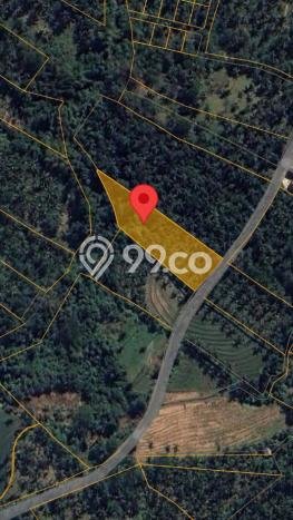 Kavling Tanah di Tabanan Dijual Luas 2990m2 Legalitas SHM Kavling Tanah di Tabanan Dijual Luas 2990m2 Legalitas SHM