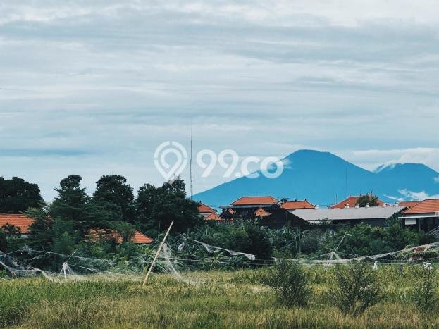 Rumah area Canggu, 3 KM, Area Asri, LT 250m² LB 250m² Rumah area Canggu, 3 KM, Area Asri, LT 250m² LB 250m²