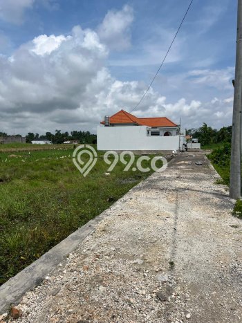 Kavling Tanah di Tabanan Dijual Luas 400m2 Legalitas SHM Kavling Tanah di Tabanan Dijual Luas 400m2 Legalitas SHM