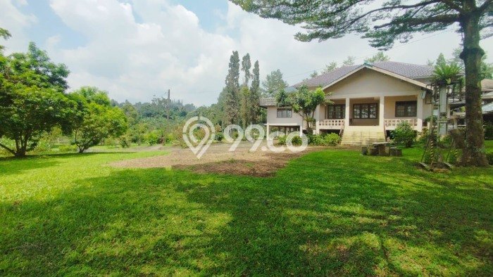 Dijual Tanah di Bogor, Luas 97000m2 SHM Dijual Tanah di Bogor, Luas 97000m2 SHM