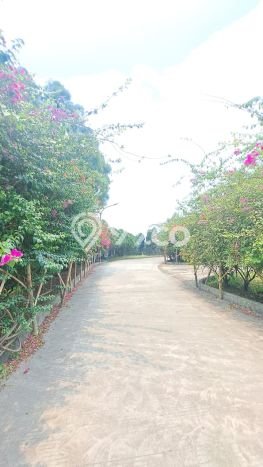 Pabrik Komersial Dijual di Cikande Serang LT 27700m2 & LB 5800m2 Pabrik Komersial Dijual di Cikande Serang LT 27700m2 & LB 5800m2