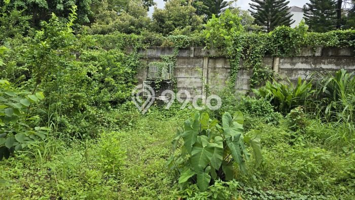 Dijual Rumah 1 Kamar Lokasi Strategis Nyaman dan Strategis di Tangerang Dijual Rumah 1 Kamar Lokasi Strategis Nyaman dan Strategis di Tangerang