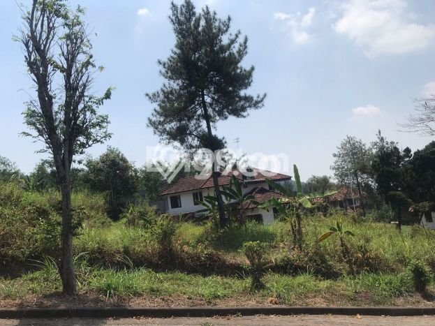 Kavling Tanah Dijual di Prigen Pasuruan Spesifikasi 661m2 Kavling Tanah Dijual di Prigen Pasuruan Spesifikasi 661m2