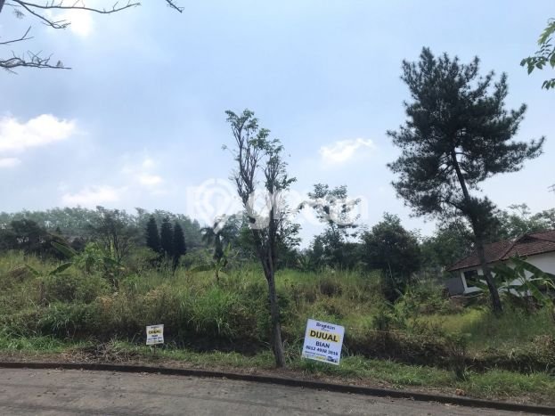 Kavling Tanah Dijual di Prigen Pasuruan Spesifikasi 661m2 Kavling Tanah Dijual di Prigen Pasuruan Spesifikasi 661m2