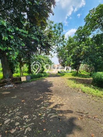 Lahan Kosong Dijual di Cilandak, Jakarta Selatan, Luas 5389m2 Area Strategis Lahan Kosong Dijual di Cilandak, Jakarta Selatan, Luas 5389m2 Area Strategis