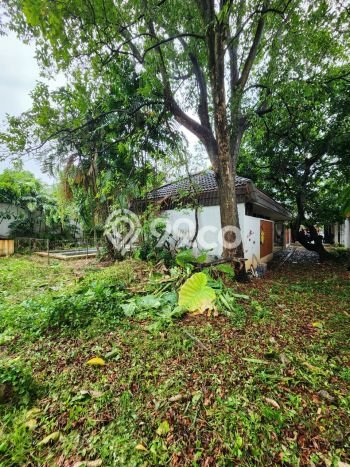 Rumah Elit Modern Tanpa Renovasi di Kemang Jakarta Selatan Rumah Elit Modern Tanpa Renovasi di Kemang Jakarta Selatan