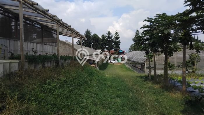 Tanah Kavling Dijual di Bandung dengan Spesifikasi 8990m2 Tanah Kavling Dijual di Bandung dengan Spesifikasi 8990m2