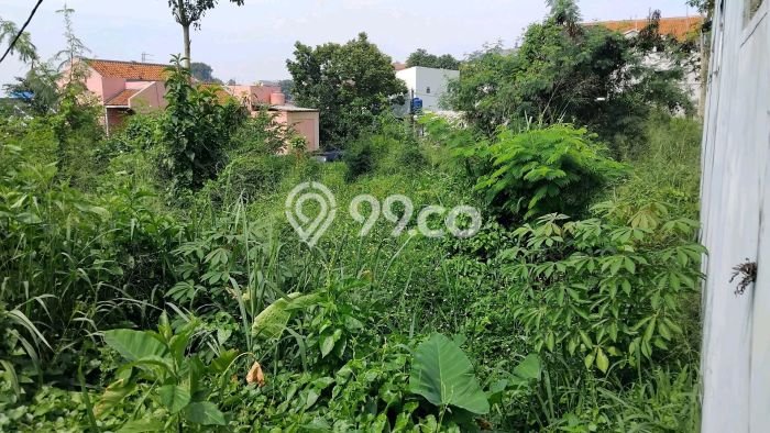 Lahan Investasi Lokasi Cileunyi Bandung SHM Lahan Investasi Lokasi Cileunyi Bandung SHM