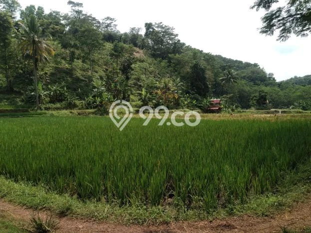 Kavling Tanah di Campaka Dijual Luas 70000m2 Legalitas SHM Kavling Tanah di Campaka Dijual Luas 70000m2 Legalitas SHM