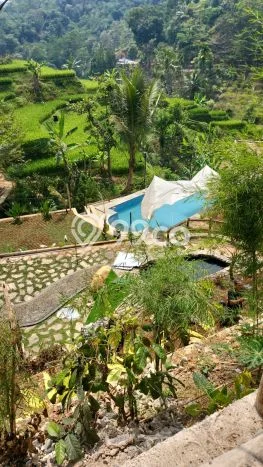 Kavling Tanah di Rancakalong Dijual Luas 4000m2 Legalitas SHM Kavling Tanah di Rancakalong Dijual Luas 4000m2 Legalitas SHM
