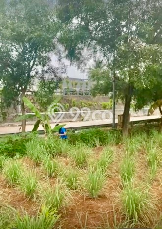 Untuk Dijual Tanah di Jakarta Timur, Luas 1603m2 SHM Untuk Dijual Tanah di Jakarta Timur, Luas 1603m2 SHM