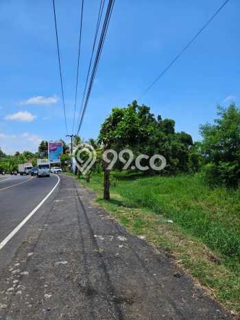 Kavling Tanah di Kerambitan Dijual Luas 23430m2 Legalitas SHM Kavling Tanah di Kerambitan Dijual Luas 23430m2 Legalitas SHM