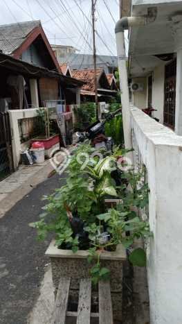 Jual Rumah Bagus Siap Huni LB 125m2 di Cempaka Putih, Jakarta Pusat Jual Rumah Bagus Siap Huni LB 125m2 di Cempaka Putih, Jakarta Pusat
