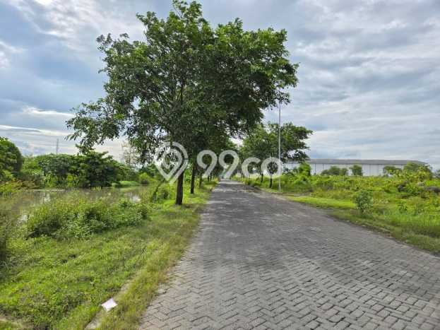 Lahan Investasi Lokasi Tangerang Tangerang - Lahan Investasi Lokasi Tangerang Tangerang -