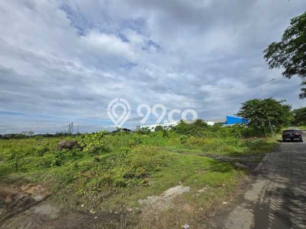 Lahan Investasi Lokasi Tangerang Tangerang - Lahan Investasi Lokasi Tangerang Tangerang -
