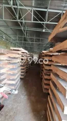 Kavling Tanah Dijual di Dramaga Bogor Spesifikasi 1000m2 Kavling Tanah Dijual di Dramaga Bogor Spesifikasi 1000m2