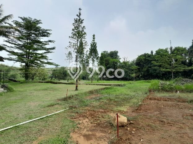 Rumah Minimalis Terbaik Dijual Area Ciomas LT 6389m2 Rumah Minimalis Terbaik Dijual Area Ciomas LT 6389m2
