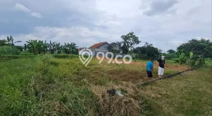 Kavling Tanah Dijual di Dramaga Bogor Spesifikasi 1000m2 Kavling Tanah Dijual di Dramaga Bogor Spesifikasi 1000m2